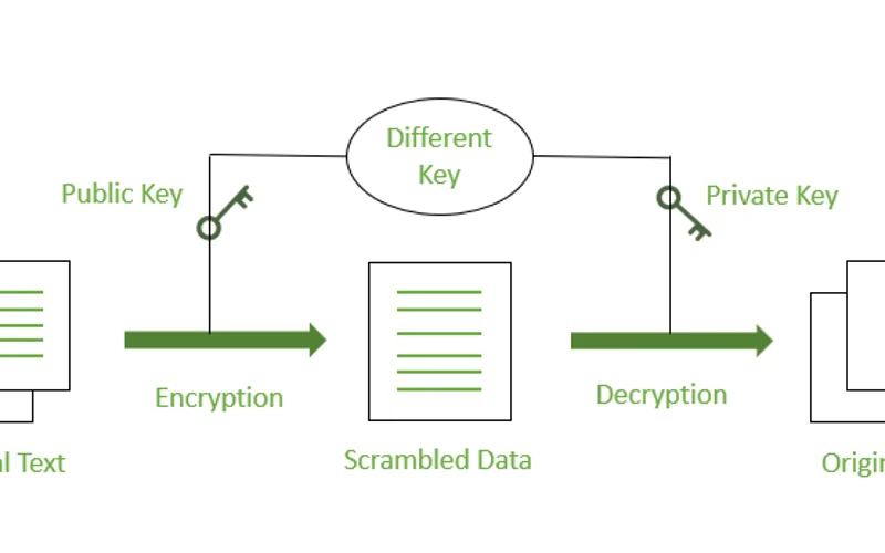 TLS 1.3 Session Encryption and DDoS Defense Infrastructure