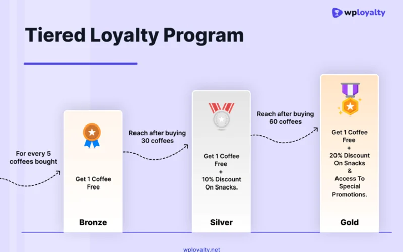VIP Tier Level Progression and Monthly Benefit Calibration