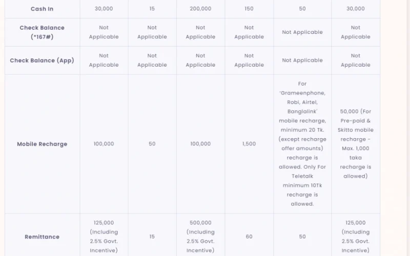Express Nagad Cashout Queue Mechanics and Processing Protocol