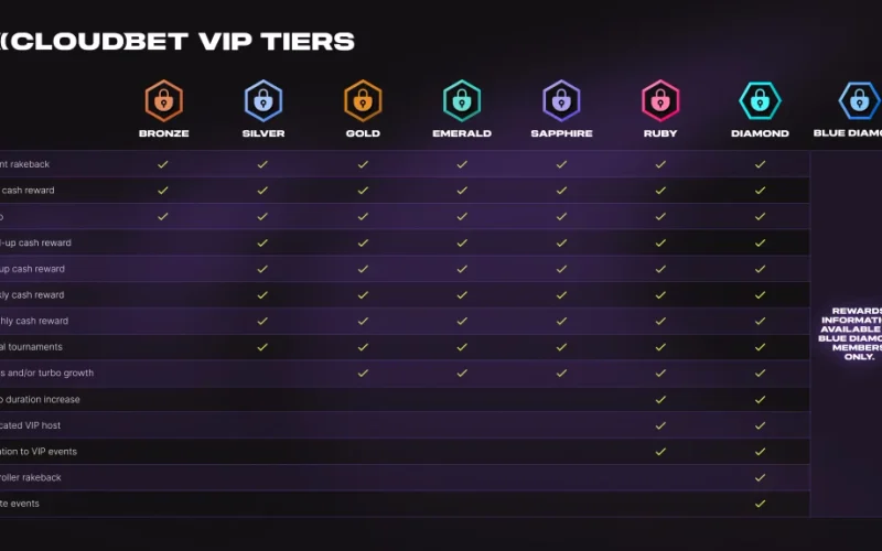 VIP Tier Point Accumulation and Level Maintenance Benchmarks